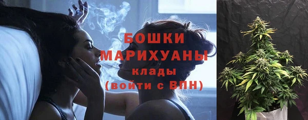 шишки Нея