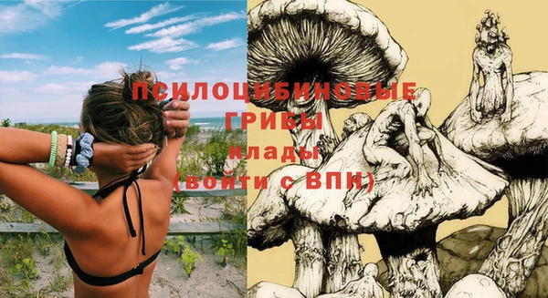 скорость Новокубанск